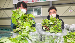 산청군농협 “향긋한 지리산 취나물 맛보세요”