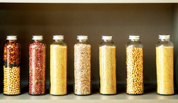 [토종씨앗] “전국서 알음알음 구한 씨앗…무상으로 빌려드립니다”