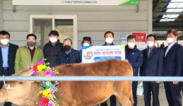 강원 동해삼척태백축협, 화재 피해농가에 송아지·사료 지원