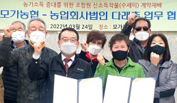 모가농협, 신소득작물 ‘수세미’ 육성 박차