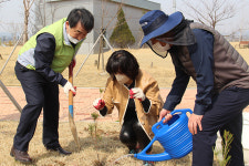 평택 송탄농협, 식목일 나무 심기…대추나무·소나무 등 300여그루