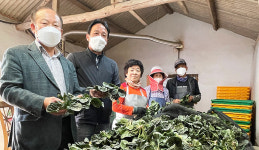 [탐방 선도농협] 비금농협, ‘섬초’ 반년만에 116억 판매…작은농협의 저력