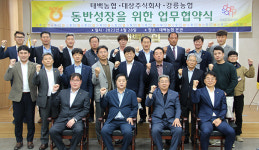 태백농협·강릉농협·대상㈜, 강원 고랭지배추 거래 활성화 ‘맞손’