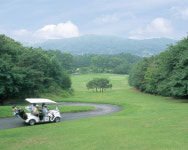 골프관광 제주관광 부가가치 상승 효자