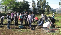 영천동, 장애우와 함께하는 친환경 고구마 캐기 체험행사