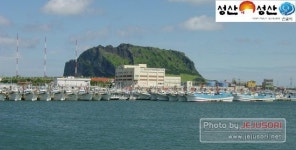 성산포수협 수산물 판매고 800억 돌파