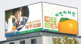 제주감귤, 서울역 앞서 국민건강 지킴이로 눈도장 찍는다