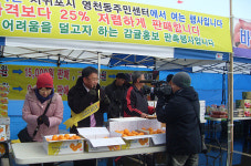 제주 귤과 보령 굴이 만났다