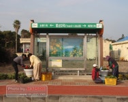 표선면, 버스 승차대 양옆 화분에 팬지꽃 식재