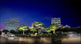 신제주로터리 적송 야간 경관조명 눈길