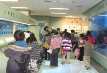 민속자연사박물관, 신나는 과학교실 운영