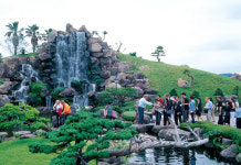 생각하는 정원, 녹색 공간에서 제주의 맛 제공