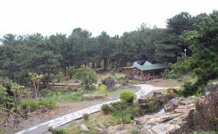 삼매봉공원 조성사업 추진과정, 특혜의혹 얼룩