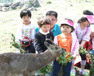 노루생태관찰원에 가면 신나는 무언가가 있다!