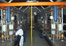 어음리 지헌목장, 제주 최초 젖소 HACCP 농가로 지정