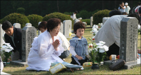 쉰 네 번째 현충일, 도내 충혼묘지마다 추모객 행렬