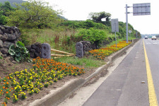 제주의 옛 정취 느낄 수 있는 애월읍 정낭길