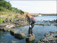 철새 둥지 물빛 올레 조심조심 걸어요!