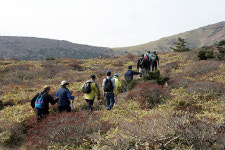 한라산 돈내코 탐방로 개방 임박…사전탐방 진행