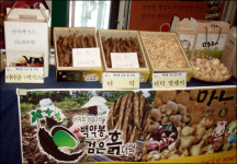 서귀포에버 히트예감…전국 보육인들에 큰 인기