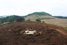사랑하는 이와 함께한 오름 속 행복
