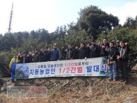 천지동주민센터 고품질 감귤생산을 위한 감귤원 1/2간벌 발대식 개최