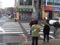 표선면 주민자치위원회 기초질서지키기 캠페인 실시