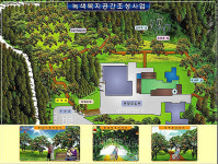 제주 원광요양원 감나무 숲 생겨요!