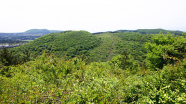 당신은, 오름에 왜 오르는가?