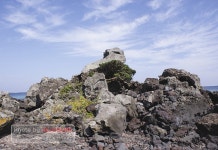 한갓 나무도 바다 짠 내음서 꿋꿋한데, 내 어찌…
