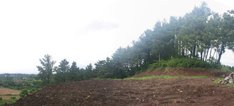 사라져 가는 쓸쓸함, 붕대 감고 있는 오름