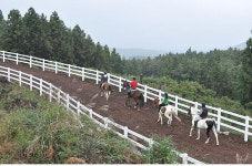 교통사고 하반신 마비, 재활승마 2개월 탔더니…