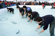 늦가을에 펼쳐진 멋과 맛의 향연, 최남단 방어축제 폐막