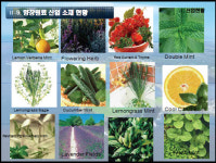 제주, 화장품산업 기반여건 탄탄...성공가능성 크다