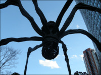 가깝고도 먼 나라, 일본이 더 가까워졌습니다!