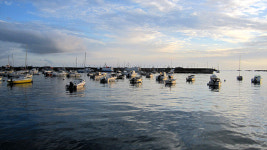 한국 음식이 너무 먹고 싶어요!