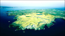 섬 속의 섬 우도와 제주도 사이에 다리를 놓겠다고?