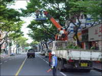 제주시내 가로수들도 새봄맞이 전정작업 한창!