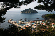 지금 제주오름은 꽃잔치가 한창