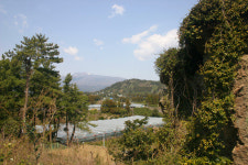 지금 제주오름은 꽃잔치가 한창