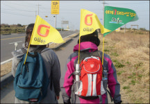 KT제주마케팅단 도전! 세계7대 자연경관 제주도 일주