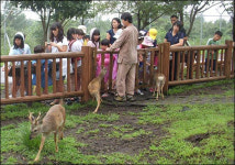 중국인들도 뿅 간 제주 노루생태관찰원…입장객 11% 차지