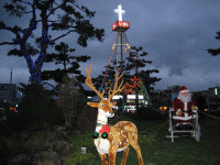 따뜻한 남쪽 서귀포시의 소박한 성탄트리