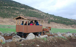 마차타고 가시리 목장가요...고려 최대 말생산지 갑마장길 개장