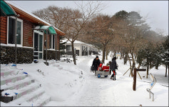 절물-서귀포자연휴양림 숙박료 3월부터 인상