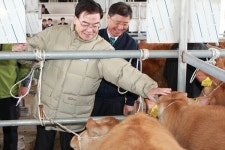 한진, 한우농가와 상생 약속 이행...수매 시동