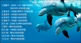 퍼시픽랜드, 돌고래 5마리 몰수형에 불복 항소