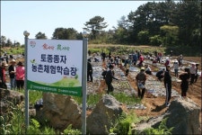 NH농협은행 제주, 주말농장 드림 팜 개장