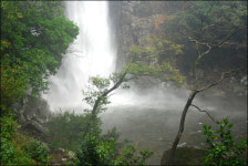 엉또폭포, 이번엔 제대로 걸렸네