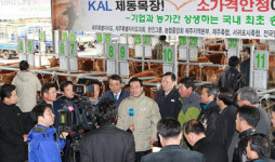 송아지 수매에 보답? 제주축협 한진 지하수 증량 요청